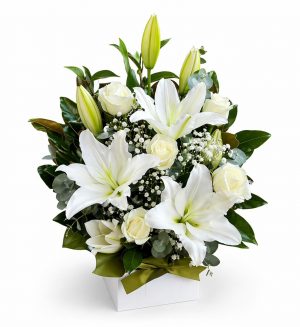 elegant medium lily & rose box – pastel & white-Fresh flower florist in Ringwood offering local delivery.
