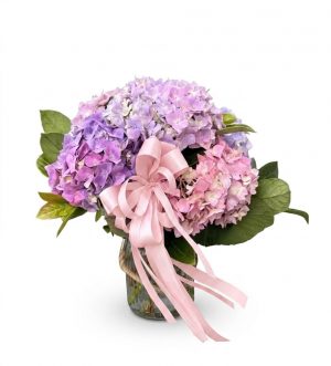 hydrangea flower arrangement in vase. Fresh flowers with Ringwood delivery.