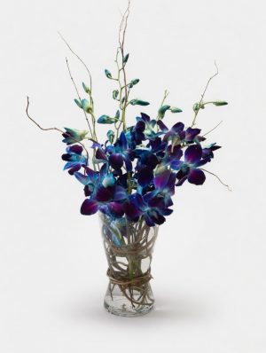 Luxurious blue-purple orchids arrangement in vase-Fresh flower florist in Ringwood-Melbourne offering local delivery.